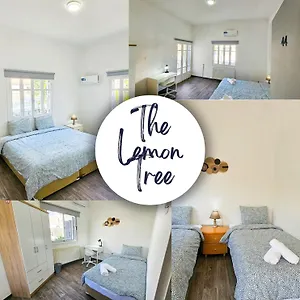 The Lemon Tree Larnaca